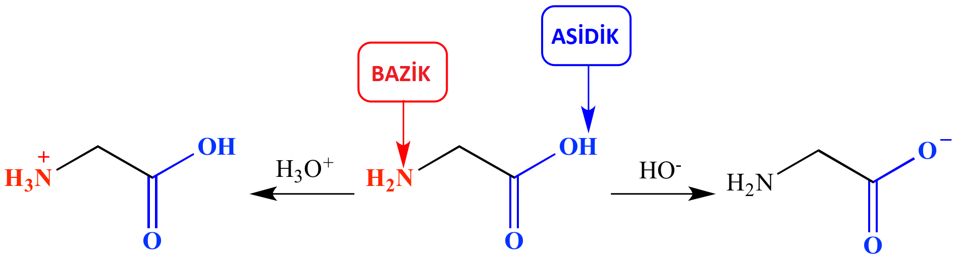 aminoasitamfoterik
