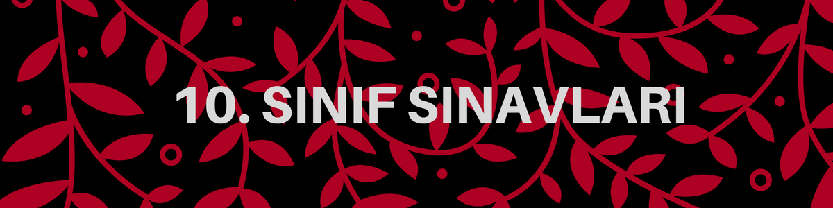 10 sinif sinavlari