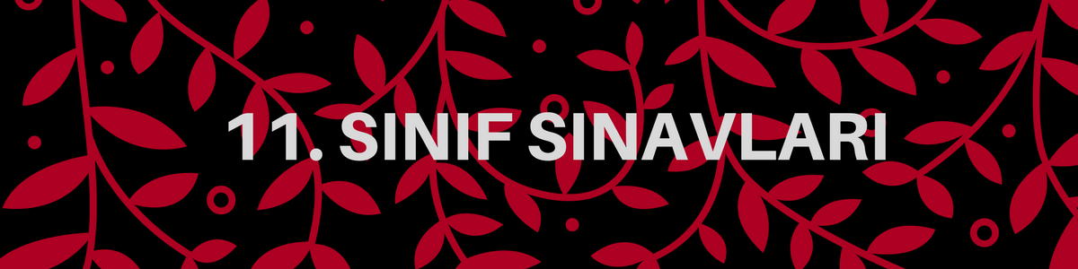 11 sinif sinavlari