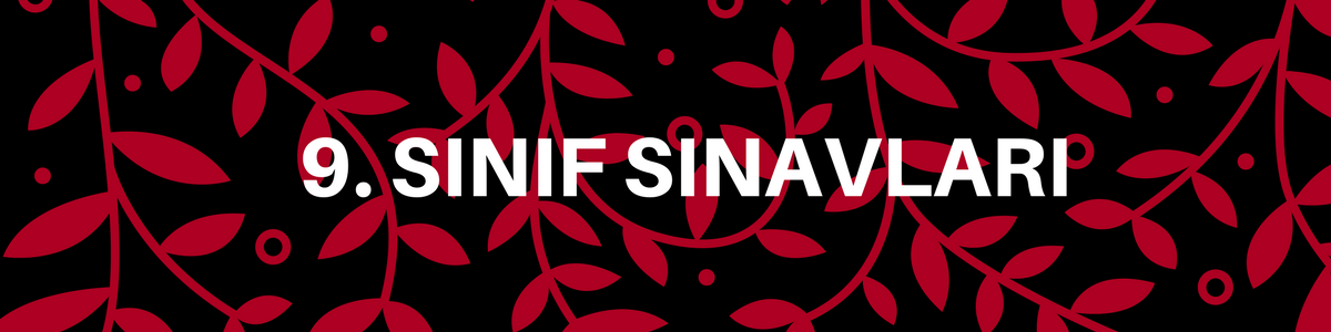 9 sinif sinavlari