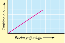 enzim104