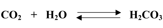 solunum gaz5